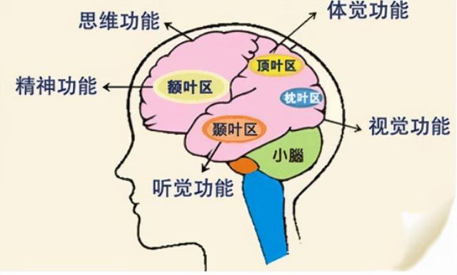 梦见死去的亲人，梦见死去的亲人是什么意思（心理学家道出了残酷事实）