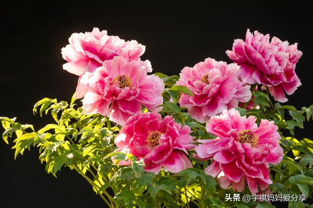 怎么样让自己内心变得强大，变得越来越好？