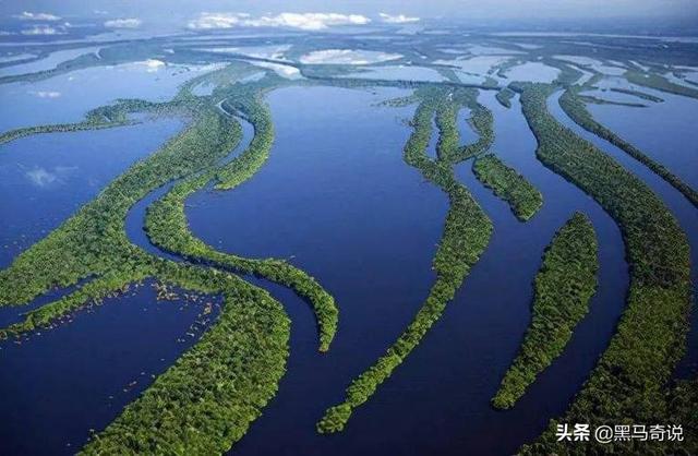 世界上最恐怖的鱼类是什么，世界上最恐怖的鱼是什么鱼,排行榜（十大恐怖生物告诉你）