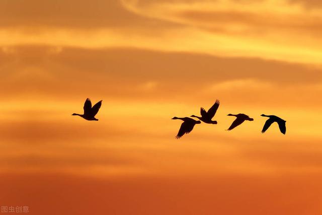 比喻与比作有什么不同，比喻与比作有什么不同点（中招比较鉴赏：同意象•情不同）