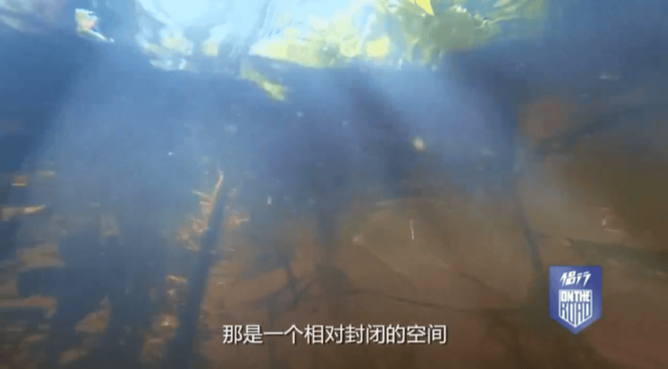 侣行夫妇的记录，中国最牛夫妻：北极求婚