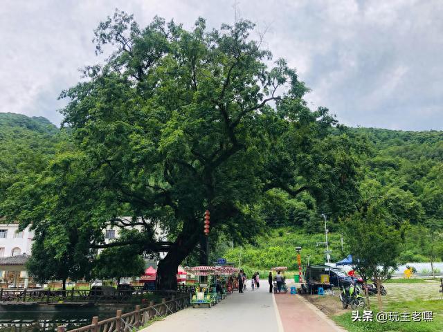 鄂西避暑2，松柏镇