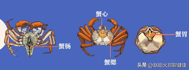 螃蟹哪里不能吃高清图，螃蟹哪里不能吃（注意：这7类人不宜吃蟹）