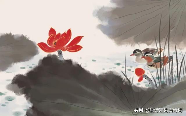 相识是缘分的经典语录，有缘相识珍惜短句（前世有缘，今生来相伴）