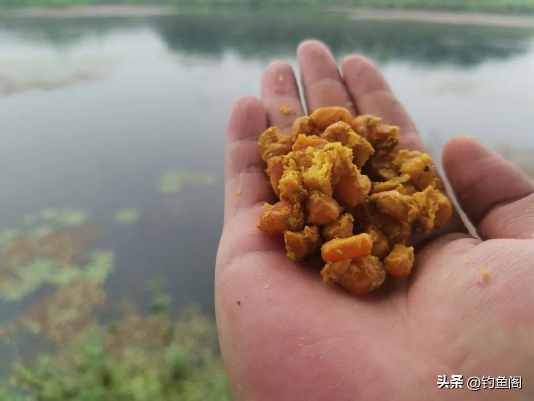 钓鲤鱼的方法和注意事项，守钓鲤鱼是最“笨”的办法