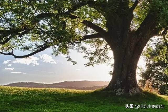 喉咙结节怎么办，喉咙结节吃什么药最好（送你“天然散结法”、常做3招）