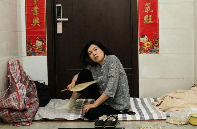 安家房似锦为啥欠钱，安家里的房似锦最后怎么样了（逼女儿给她100万的潘贵雨）