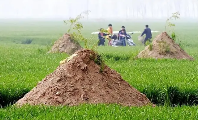 土葬的坑多深最佳，人丁兴旺的风水墓地（动土有蛇、棺木抬不动、最后一个你知道吗）