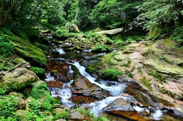 张家界国家森林公园，关于张家界国家森林公园（魅力湘西——张家界）