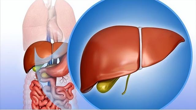 什么食物含硒多，十大含硒高的食物（硒对人体到底有多重要）