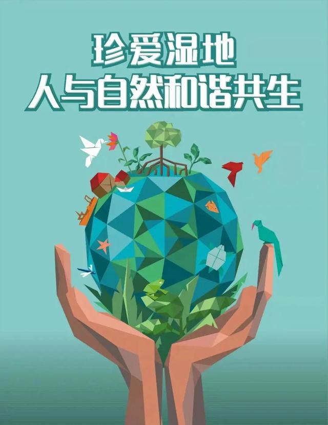 世界湿地日是哪一天，世界环境日是几月几日（人与自然鹭港共生）