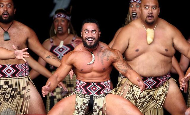 鸮和猫头鹰区别，领角鸮和猫头鹰区别（最大的鹦鹉却不会飞）