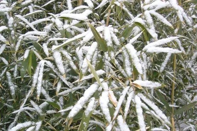 心灵的归宿，家是我们的避风港是心灵的归宿（心灵的归宿唯美句子）