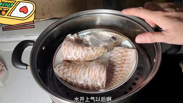 银龙鱼价格图片