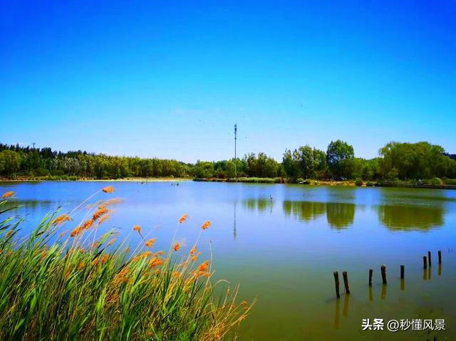 北京一公园走红，隐藏仙境少有人知，不要门票适合遛娃拍照赏秋