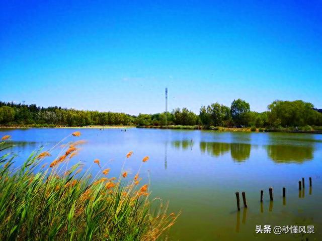 北京一公园走红，隐藏仙境少有人知，不要门票适合遛娃拍照赏秋