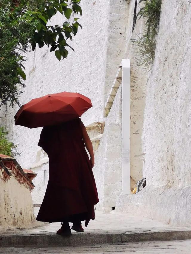 自驾游路线，自驾游路线哪种品牌的好（115天环驾中国35000公里）