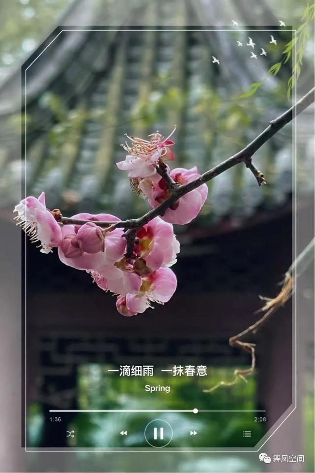 遵义凤凰山森林公园攻略，雨水，遵义，凤凰山