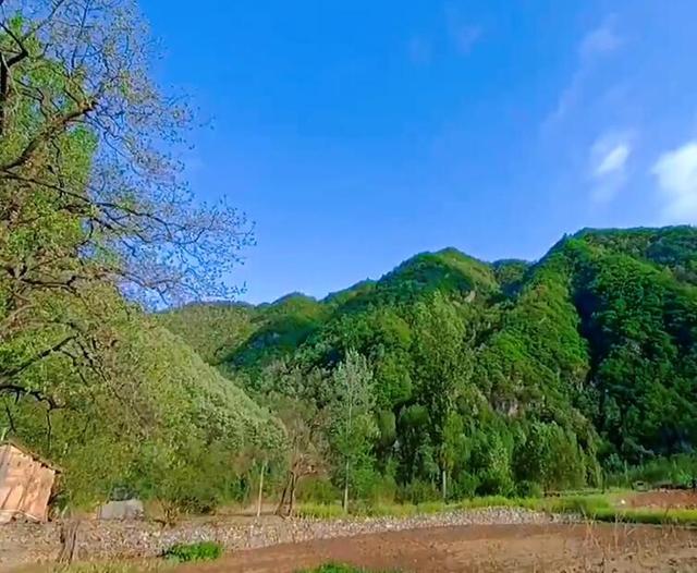 三门峡附近游玩景点推荐，河南三门峡出发自驾2日游好去处攻略推荐