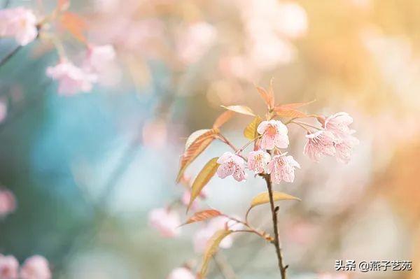 关于立春的经典诗，关于立春的经典古诗（开启诗情画意的一年）