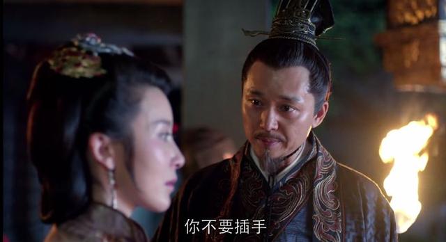 紫依（李紫依），《琅琊榜》成功除了胡歌（安紫依个人资料）