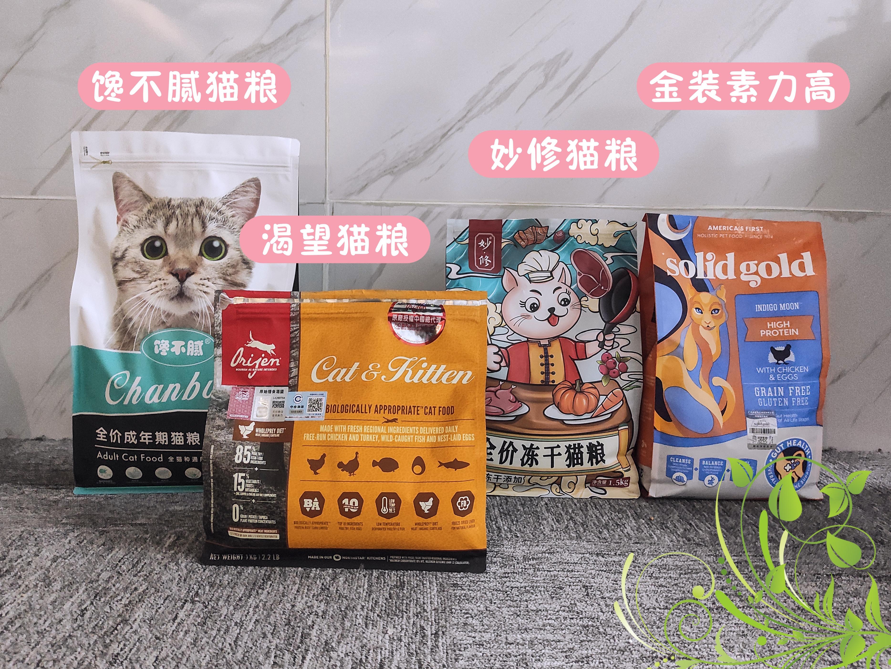 小猫多少个月可以洗澡 小猫几个月可以洗澡小猫可以洗澡