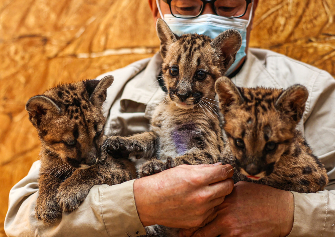荣成风景区有哪些，荣成周边景点（来荣成这些打卡景区景点采撷好春光）