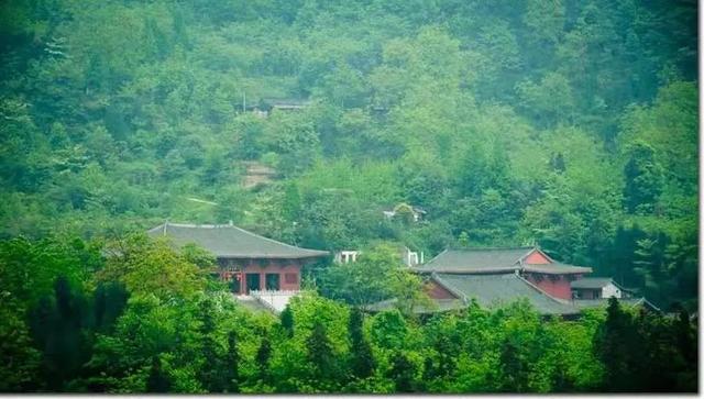 千佛山森林公园，千佛山在哪（不收门票的5个成都周边“小森林”）