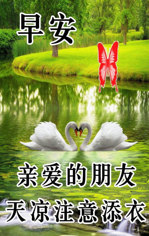 周末短信简短祝福2022，2022发给客户的周末祝福语（11月26日最新周末漂亮的早安问候图片带字语录）