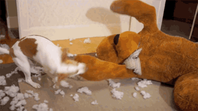 狗狗绝育的好处与坏处，狗狗绝育有什么好处和坏处（过来人告诉你：狗狗“绝育”后）