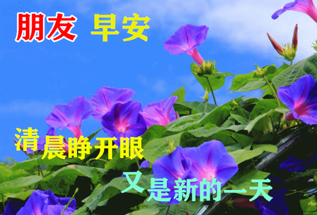 早安语录正能量短句，早安语录正能量短句100字大全（正能量简单语录句子）