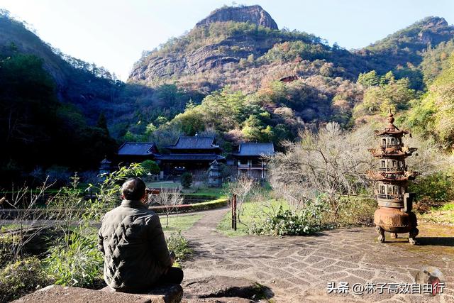 武夷山岩茶是什么茶，武夷山岩茶是什么茶?崇亮传播茶文化（我眼中的武夷山）