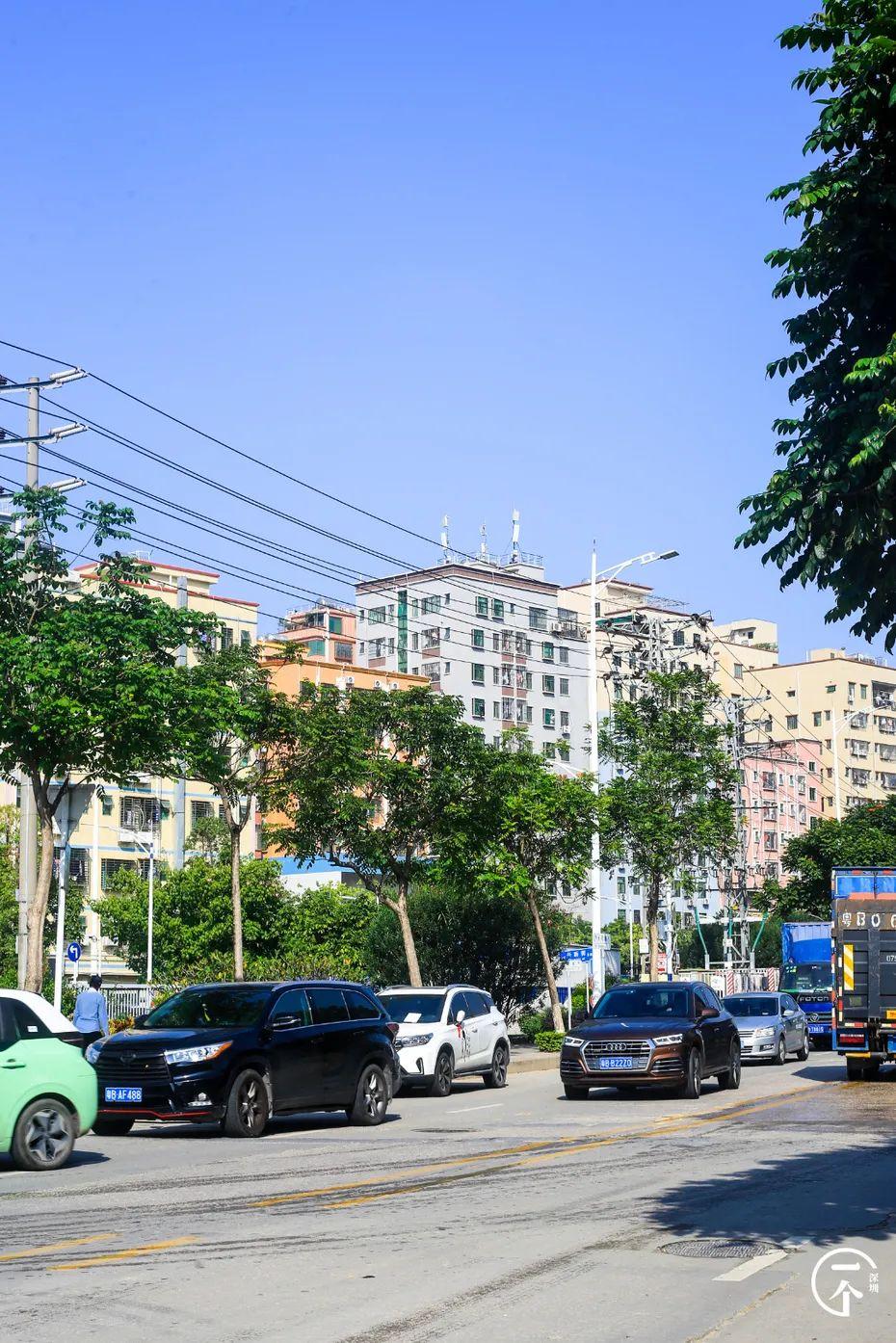 深圳北在哪个区(深圳西站在哪个区)