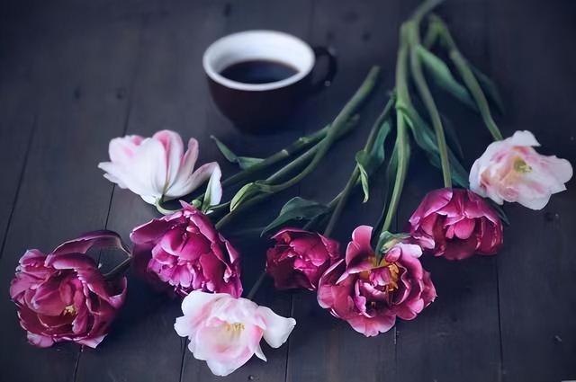 形容一个少女很美的句子，形容美少女的一段话（女生发朋友圈的唯美句子）