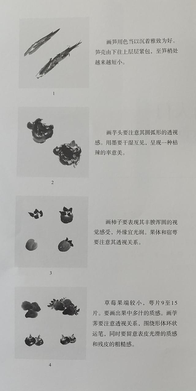 怎样画一些蔬菜和水果，怎么画蔬菜和水果（国画入门：蔬果）