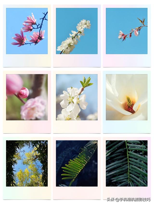 光影线条 唯美背景图，光影线条怎么拍（18张普通人拍出来的好照片）