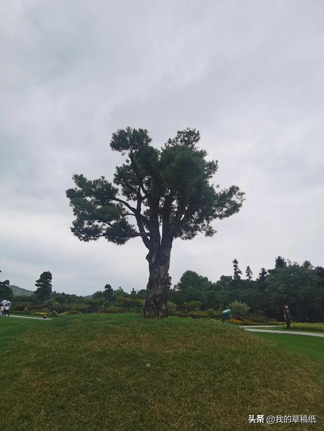 十一假期出游可畅玩银杏湖乐园，湖光山色风景迷人