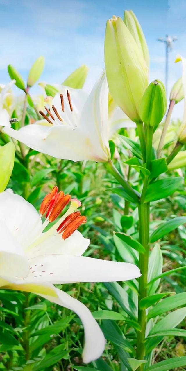 努力的意义是什么，努力的意义是什么图片（女人努力的意义是什么）