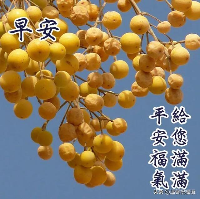 早安温馨问候语，温馨的早安问候语（每天好心情早安祝福语）