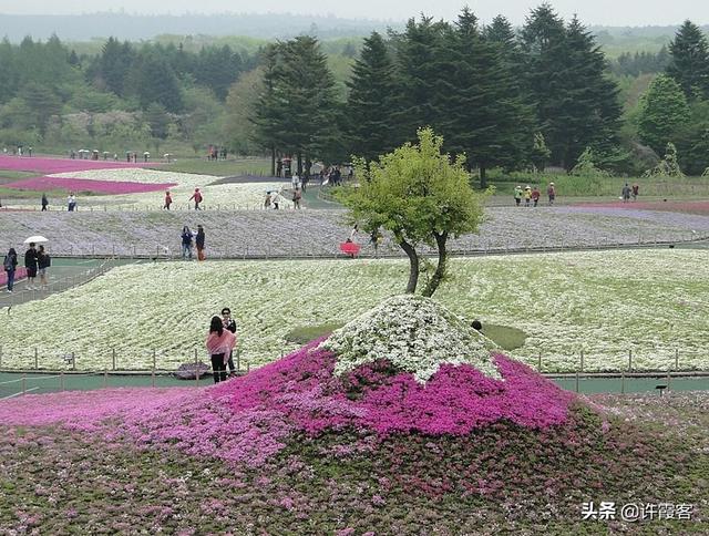 最恶心的节日，日本最恶心的节日（污名化“三八”和“妇女”）