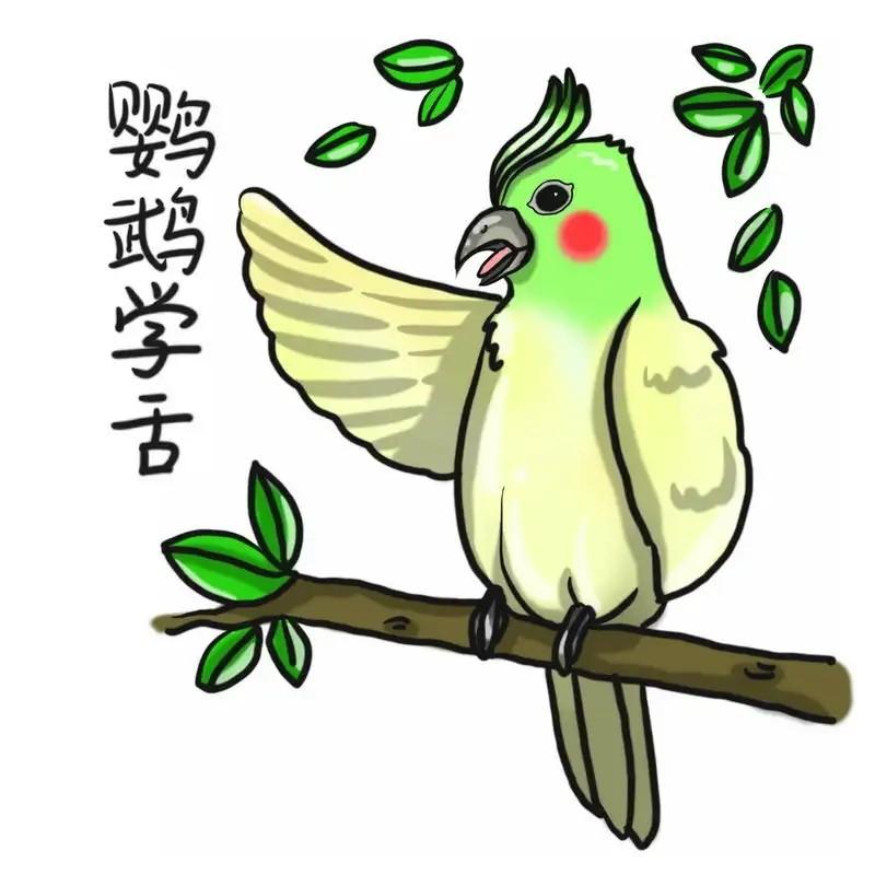 鹦鹉学舌是什么意思啊,鹦鹉开口惊呆众人