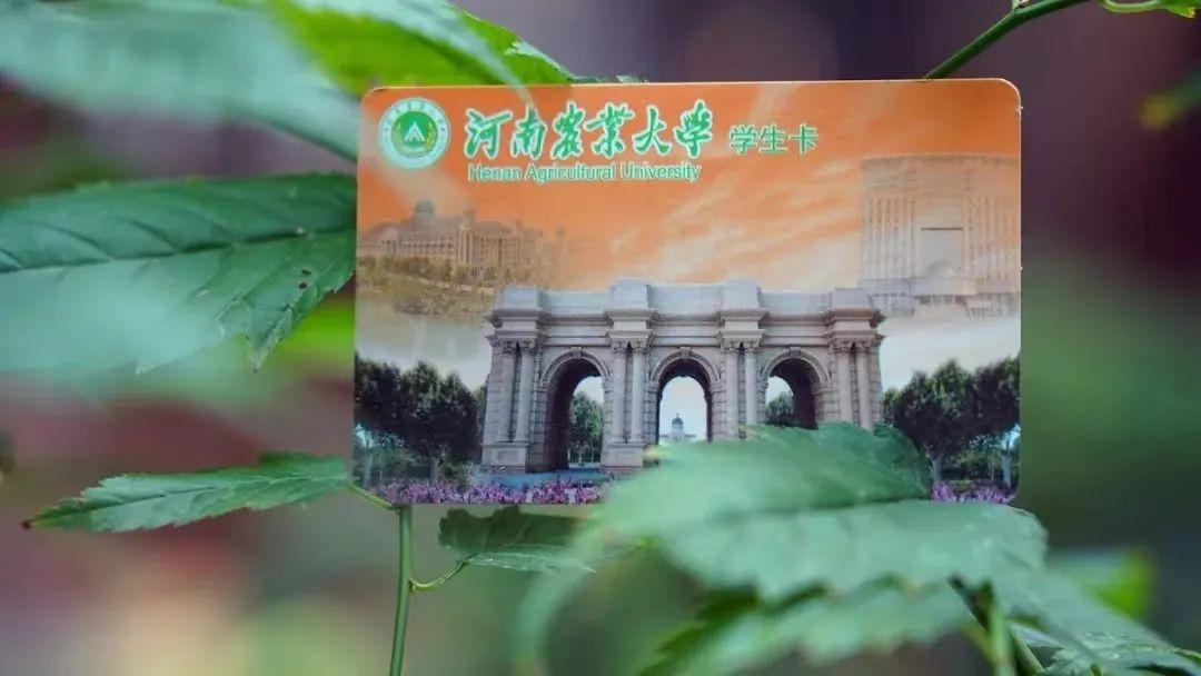 学校银行卡激活怎么办（优微推荐丨关于校园卡）