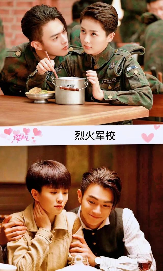 邢昭林和白鹿的电视剧是哪一部，白鹿邢少林的电视剧（30部由男女主角二次合作的电视剧）