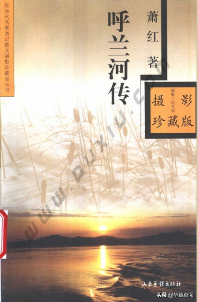 莫言txt下载，丰乳肥臀莫言（<001-020>）