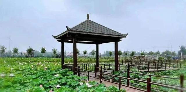 濮阳有什么好玩的景点，濮阳旅游景点推荐一下（行走河南·读懂中国丨不负好春光）