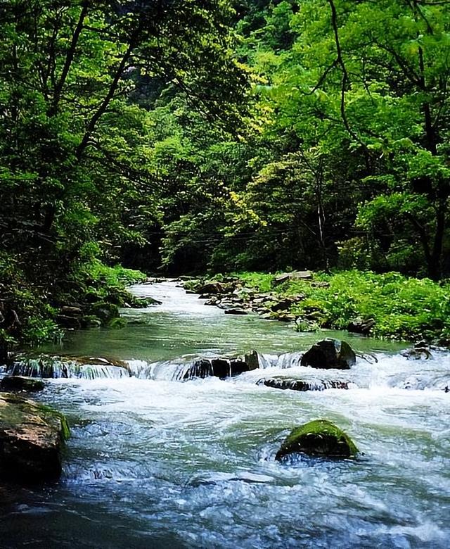 张家界国家森林公园，关于张家界国家森林公园（魅力湘西——张家界）