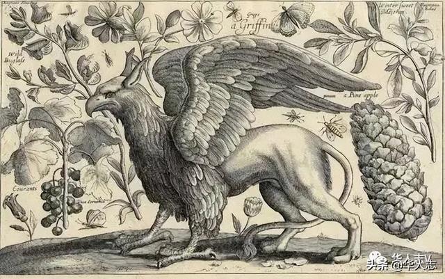 抚仙湖水下古城，澄江抚仙湖水下古城的惊人发现（来自“云南虫谷”里的谜踪之国）