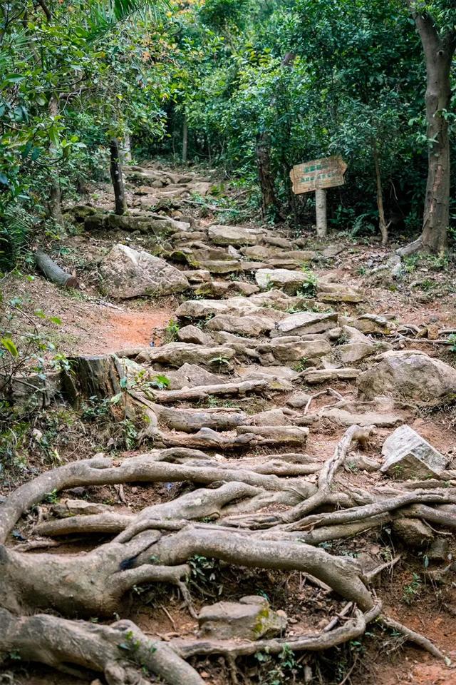 深圳好玩的免费景点，深圳哪里好玩的景点（来深圳这10个地方免费玩）