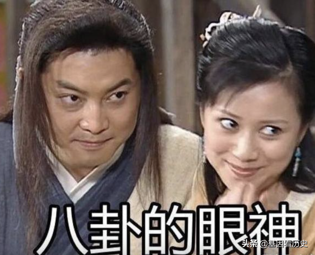 血统是什么意思，锤系血统是什么意思（中国人为什么从来都不讲血统）