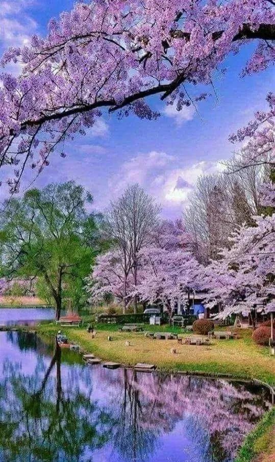 人间美景，人间美景胜天堂（70幅大自然美景图片）